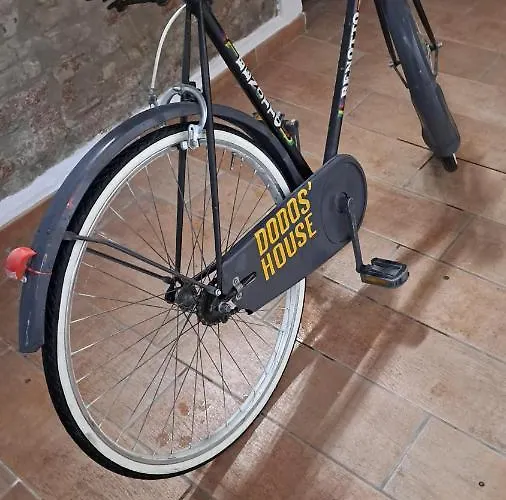 Dodo's House 게스트하우스